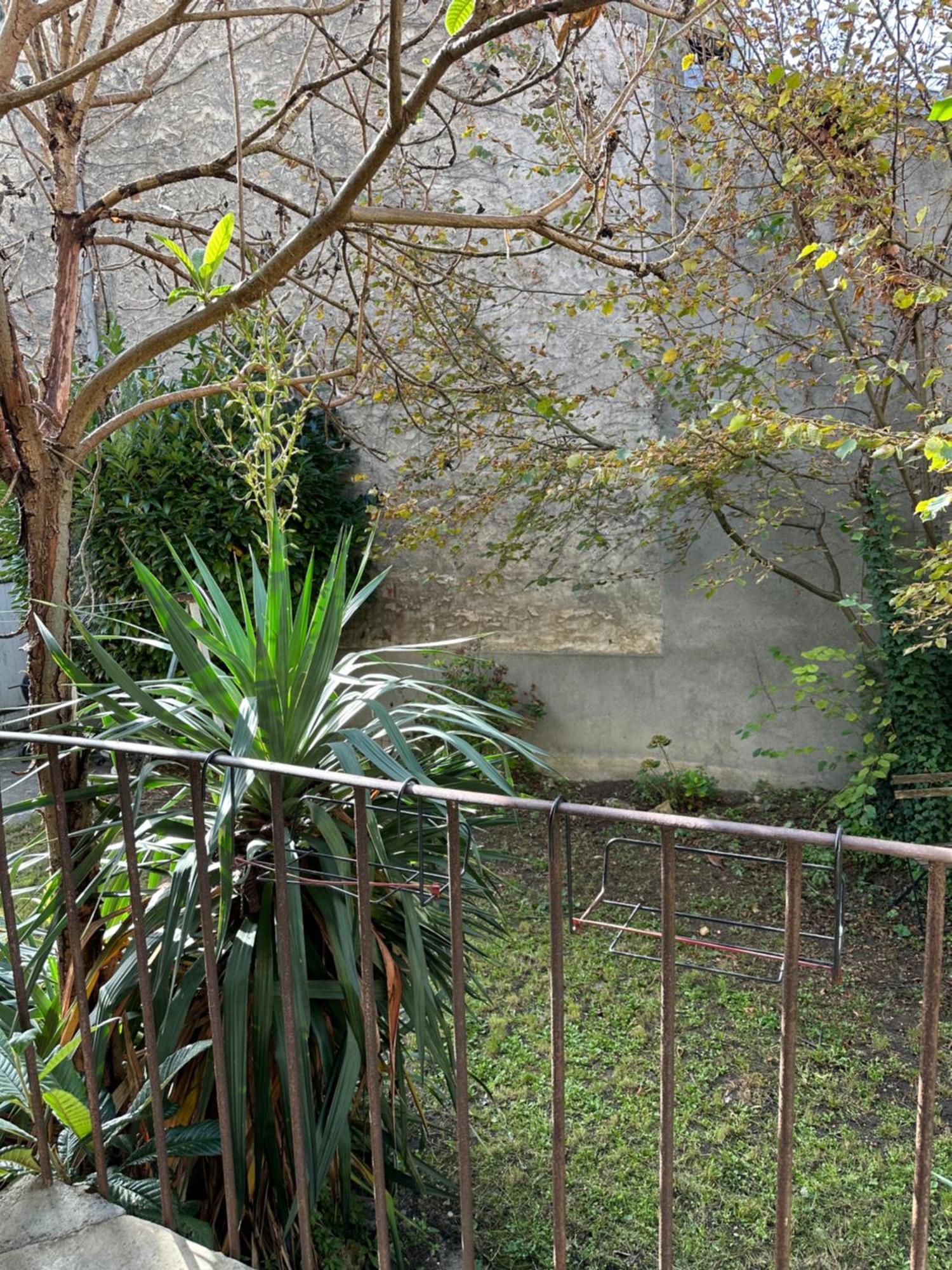 Superbe Appartement Cosy Jardin Corbeil-Essonnes Eksteriør billede